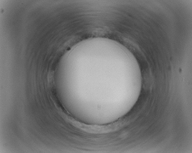 X0000083990034200703021951