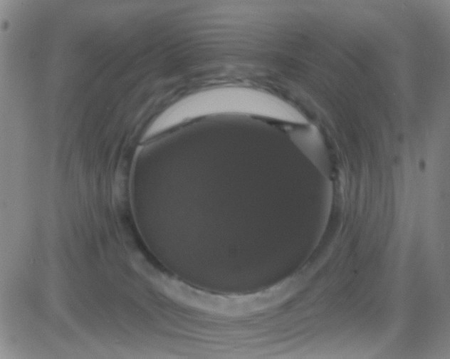 X0000083990035200703021951