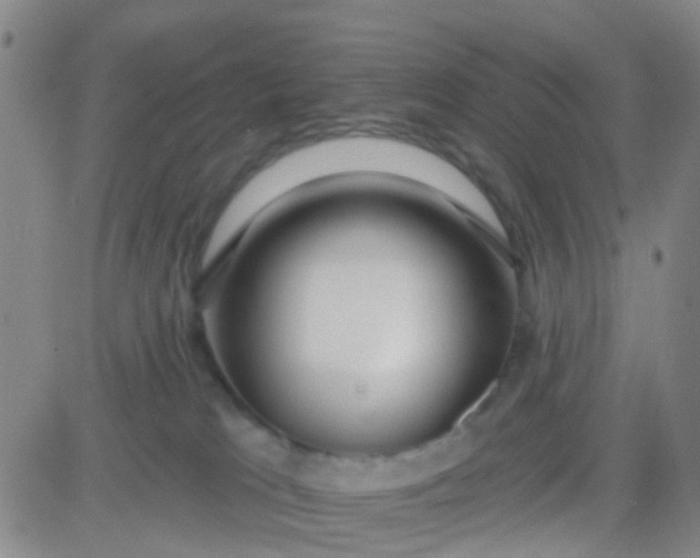 X0000083990037200703021951