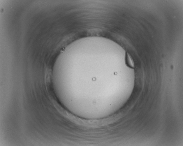 X0000083990038200703021951