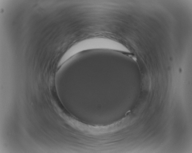 X0000083990039200703021951