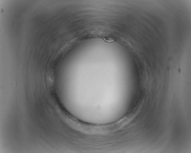 X0000083990040200703021951