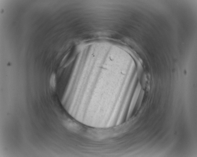 X0000083990041200703021951