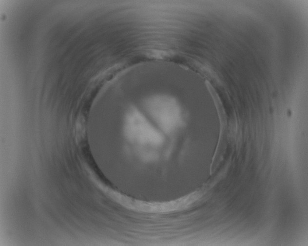 X0000083990043200703021951