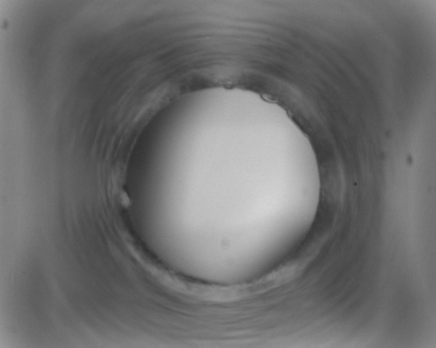 X0000083990044200703021951