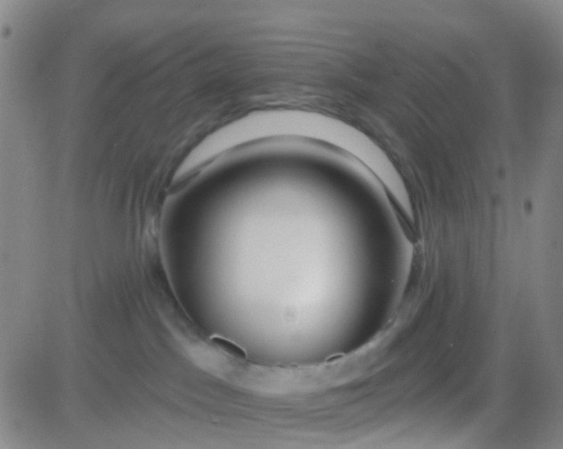 X0000083990045200703021951