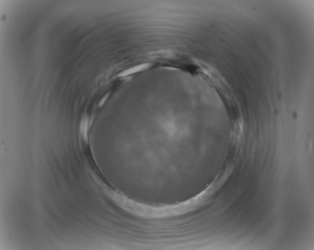 X0000083990047200703021951