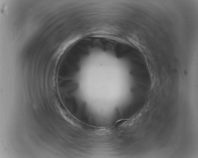 X0000083990050200703021950