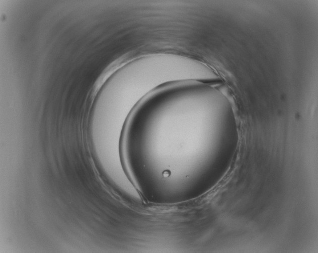 X0000083990051200703021950