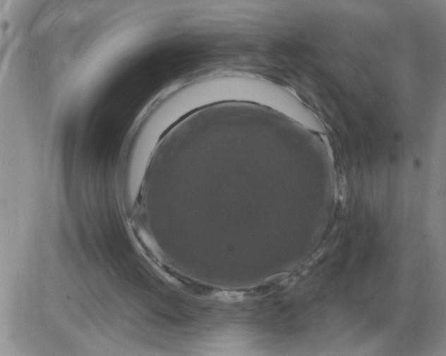 X0000083990052200703021950