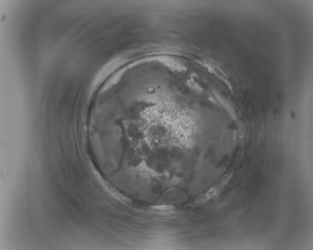 X0000083990053200703021950