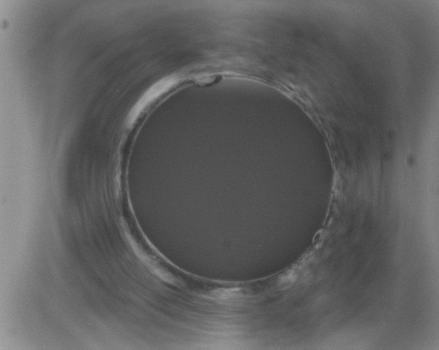 X0000083990054200703021950