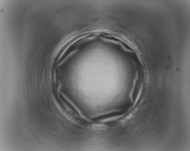 X0000083990055200703021950