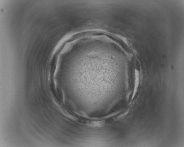 X0000083990056200703021950