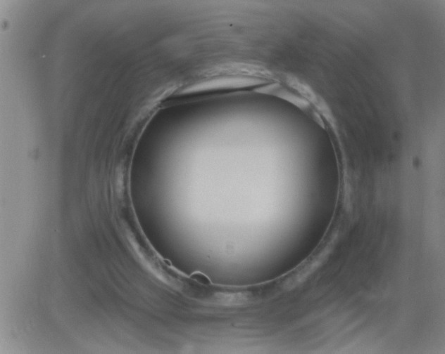 X0000083990057200703021950