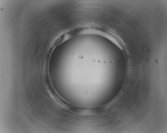 X0000083990058200703021950