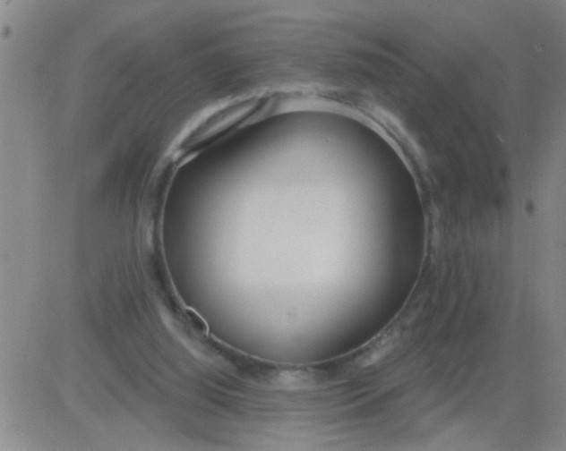 X0000083990060200703021950