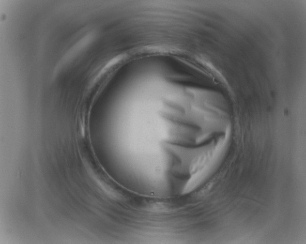 X0000083990062200703021950