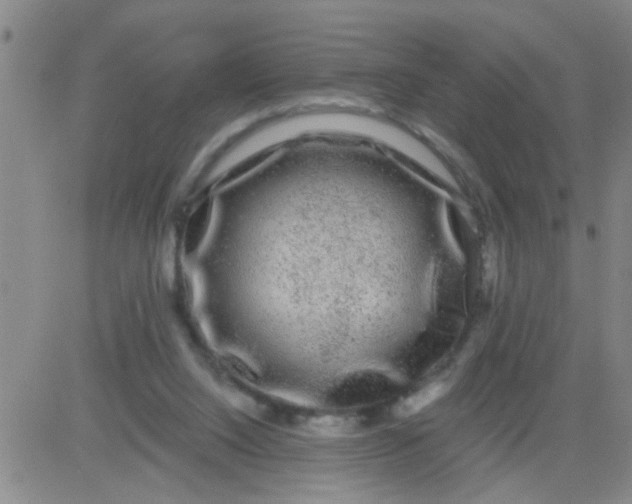 X0000083990064200703021950