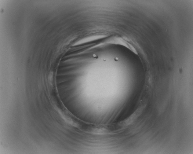 X0000083990066200703021950