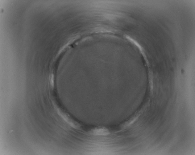 X0000083990067200703021950