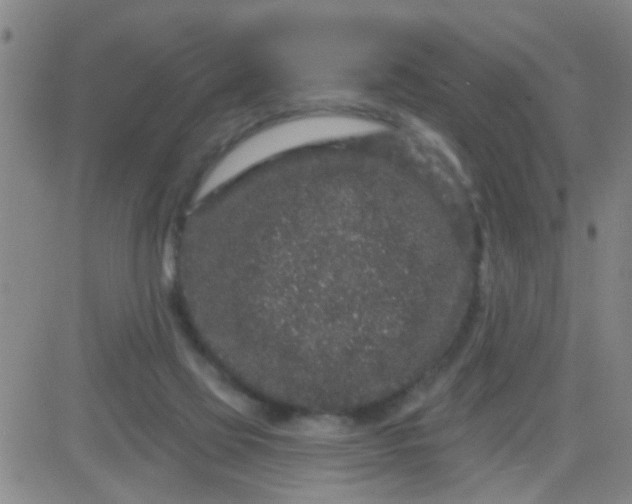 X0000083990069200703021950