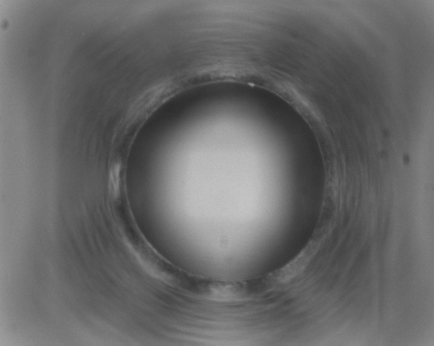 X0000083990070200703021950