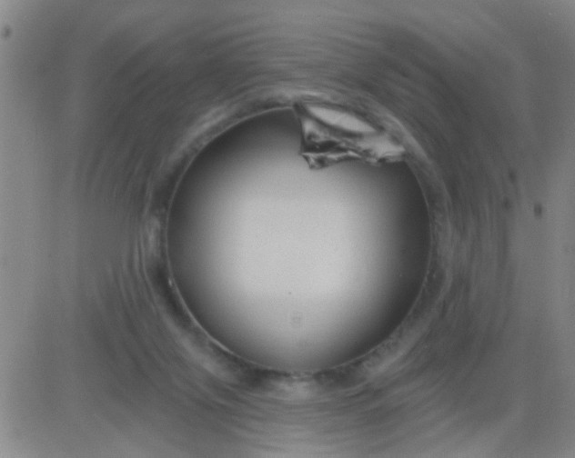 X0000083990071200703021950