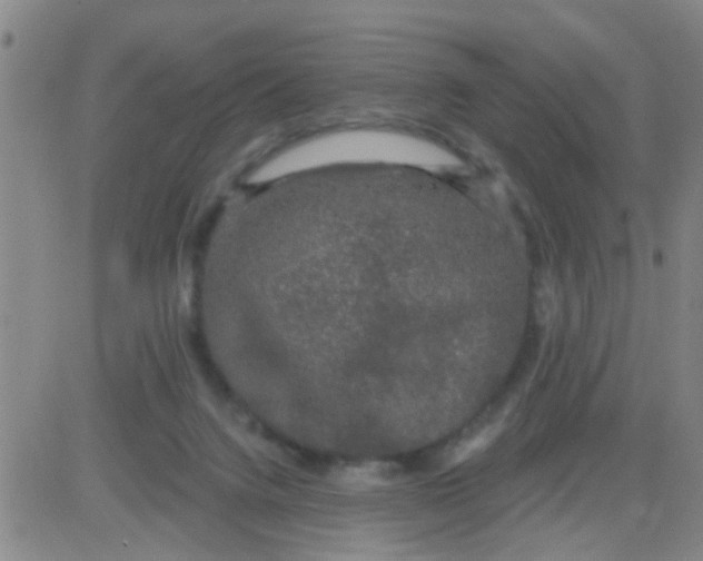 X0000083990072200703021950