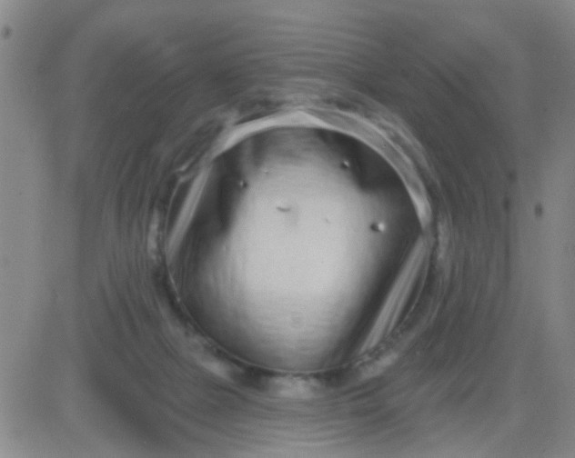 X0000083990073200703021950