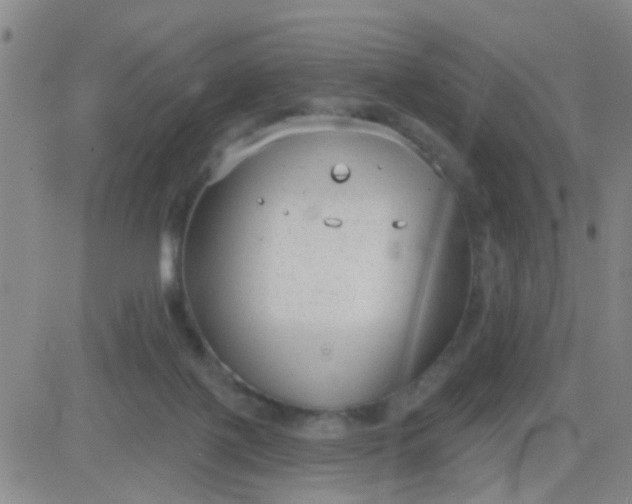 X0000083990075200703021950