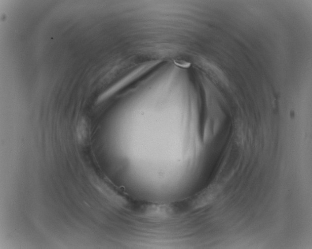 X0000083990077200703021950