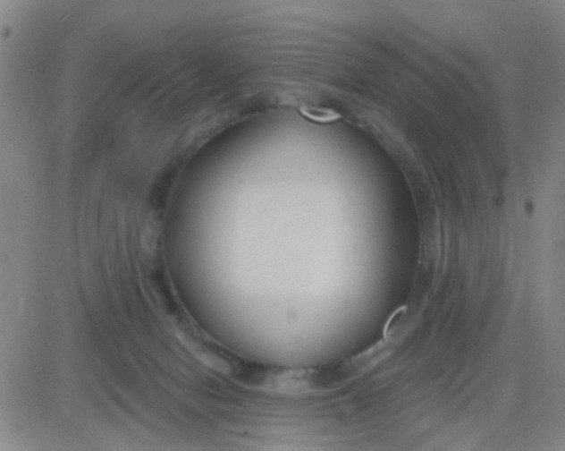 X0000083990078200703021950