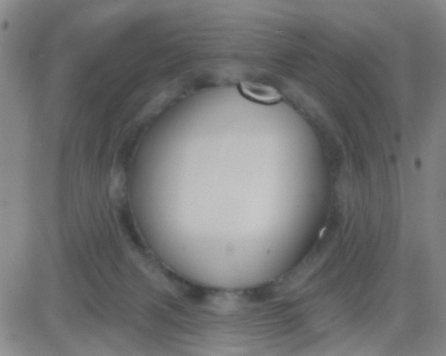 X0000083990079200703021950