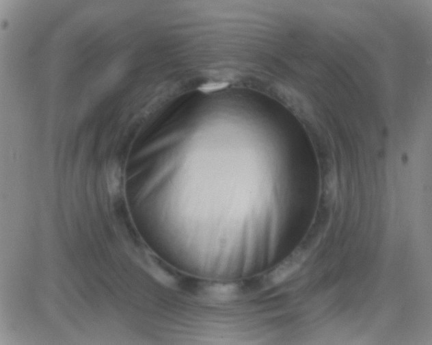 X0000083990081200703021950