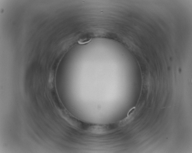 X0000083990082200703021950