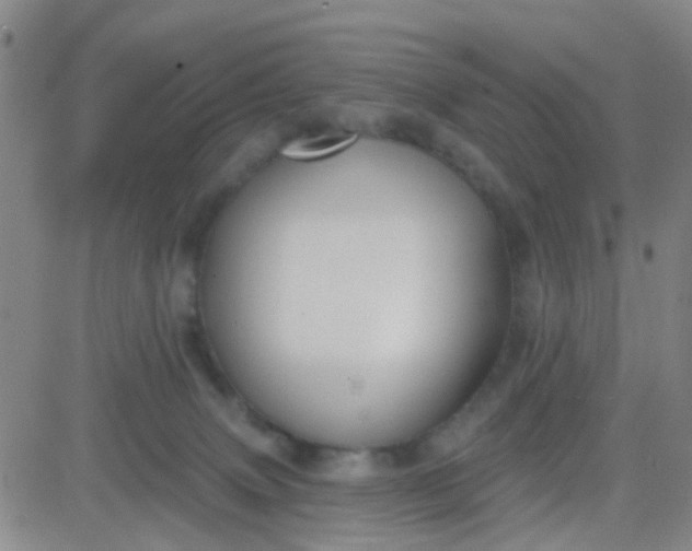 X0000083990083200703021950