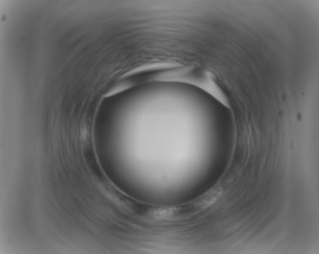 X0000083990084200703021950