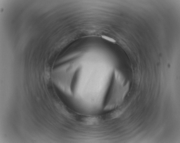 X0000083990085200703021950