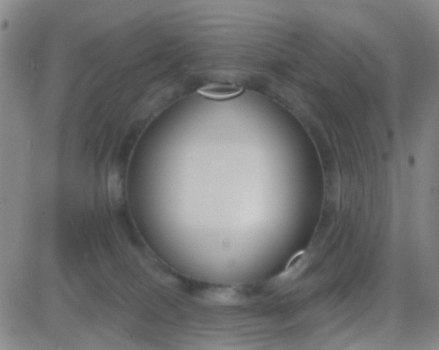 X0000083990086200703021950