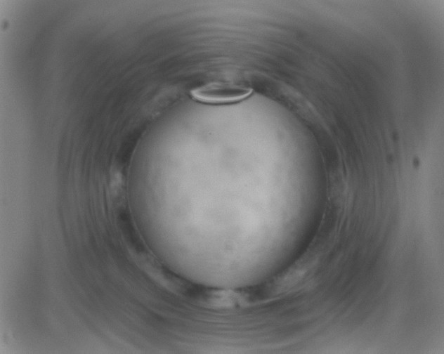 X0000083990087200703021950