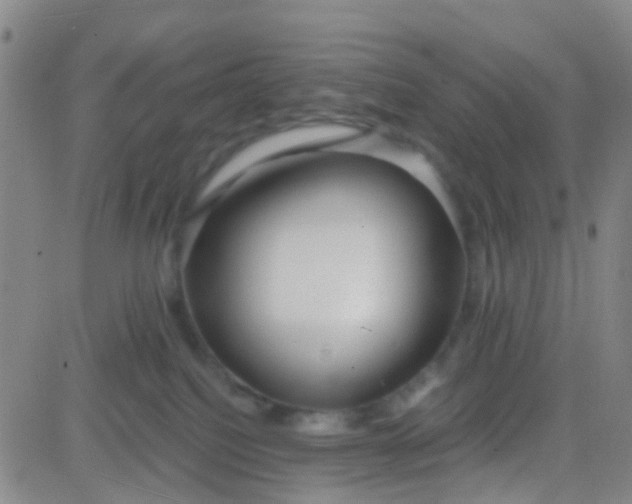 X0000083990088200703021950