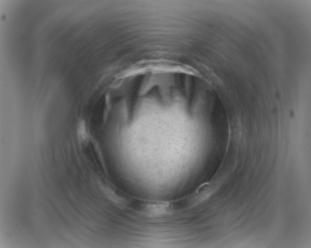 X0000083990089200703021950