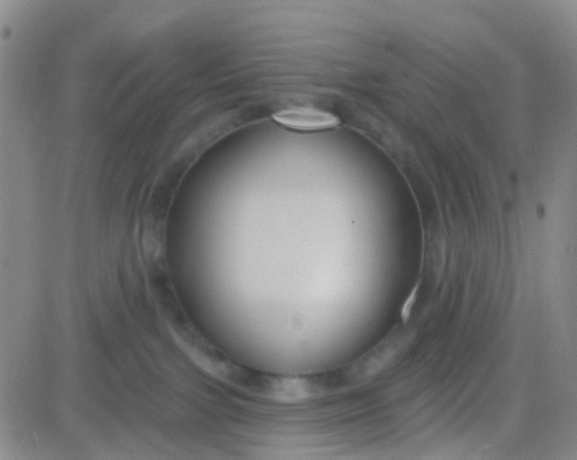 X0000083990091200703021950