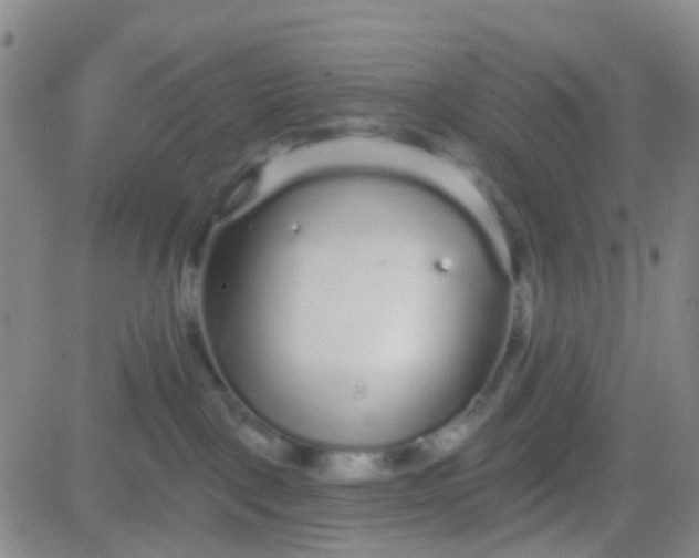 X0000083990093200703021950