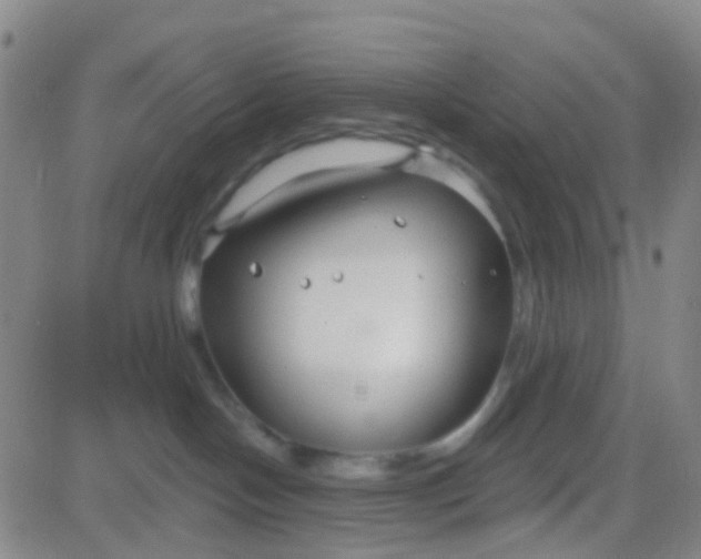 X0000083990094200703021950