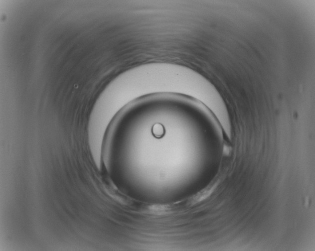 X0000083990095200703021950