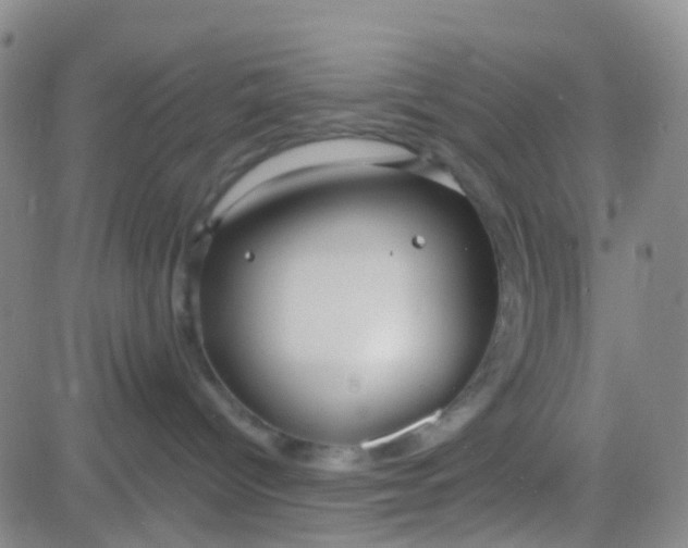 X0000083990096200703021950