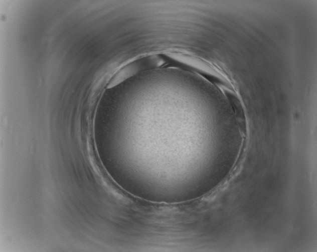 X0000083990097200703021950