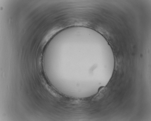 X0000083990098200703021950